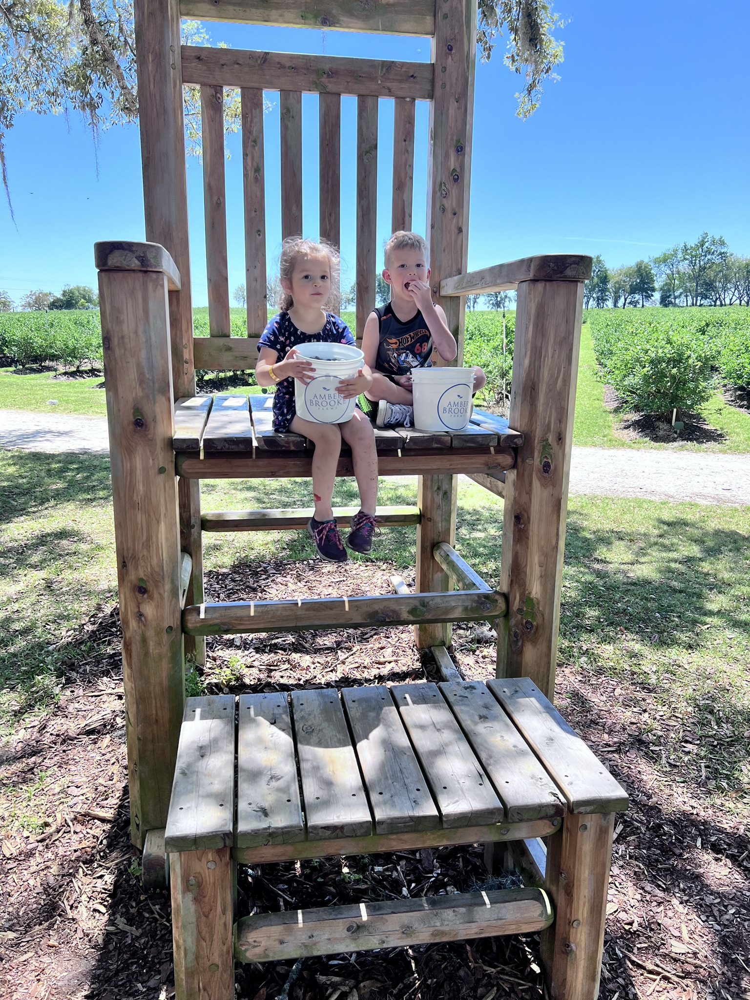 JD and Ali in giant rocking chair at blueberry farm